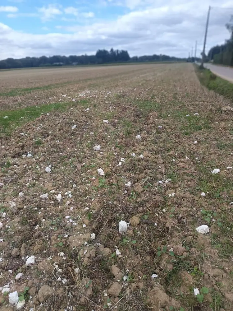 Carrière de kaolin, strates d'argile blanche